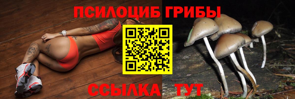 Троицк  Псилоцибиновые грибы Cubensis  Вход с VPN  где купить наркоту  Псилоцибиновые грибы Psilocybe 